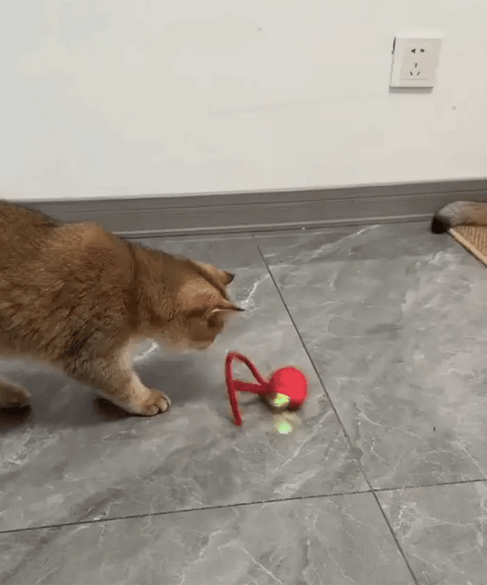 Mental and Physical Health Stimulator Toy for Pets | AI pet friend